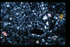 ap1403_11_02