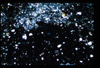 ap1403_11_05