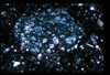 ap1403_11_07