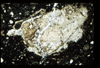 ap1403_11_10