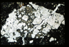 ap1403_11_11