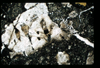 ap1403_11_13