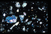 ap1403_11_18