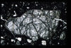 ap1403_12_05
