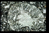 ap1403_12_09