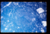 ap1403_12_10