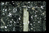 ap1403_12_12