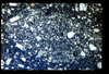 ap1403_12_13