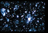 ap1403_13_04