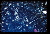 ap1403_13_07