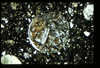 ap1403_13_10