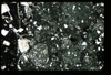 ap1403_13_13