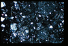 ap1403_13_14