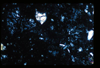 ap1403_13_16