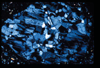 ap1403_13_20