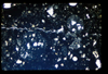 ap1403_14_01
