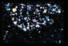 ap1403_14_05