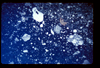ap1403_15_01