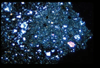 ap1403_15_08