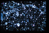 ap1403_15_16