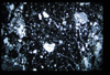 ap1403_16_01