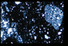 ap1403_16_04