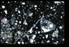 ap1403_16_05