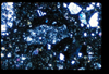 ap1403_16_16