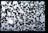 ap1404_01_01