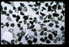 ap1404_01_03