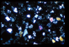 ap1404_01_04