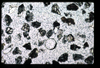 ap1404_01_06