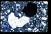 ap1404_02_01
