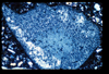 ap1404_02_05