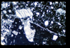 ap1404_02_06