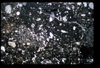 ap1404_03_05