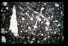 ap1404_03_15