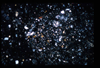 ap1404_03_18
