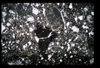 ap1404_04_05