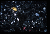 ap1404_04_06