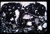 ap1404_04_09