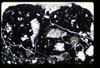 ap1404_04_11
