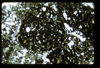 ap1404_06_02