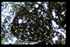 ap1404_06_03