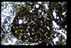 ap1404_06_04