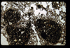 ap1404_06_05