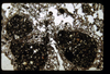 ap1404_06_06