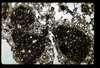 ap1404_06_09