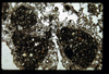 ap1404_06_10