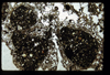 ap1404_06_11